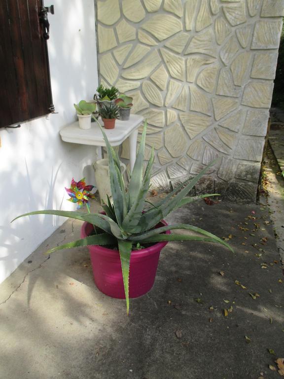 Gite Habas ภายนอก รูปภาพ